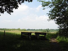 25 Mei 2016