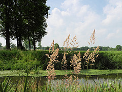 26 Mei 2016