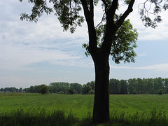27 Mei 2016