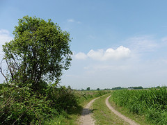27 Mei 2016