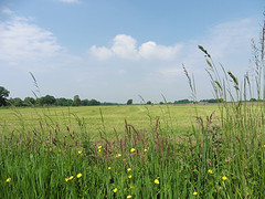 27 Mei 2016