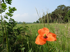 28 Mei 2016