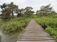 29 Mei 2016
