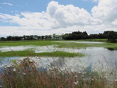 02 Juli 2016