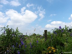 09 Juli 2016