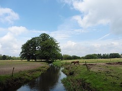 13 Juli 2016