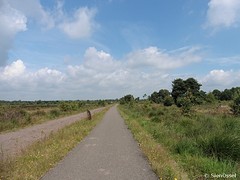 13 Juli 2016