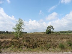 13 Juli 2016