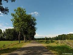 14 Juli 2016