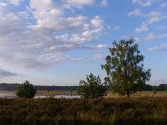 15 Juli 2016