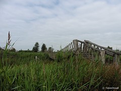 17 Juli 2016