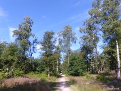 18 Juli 2016
