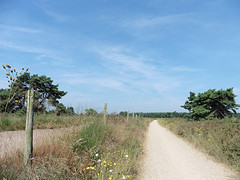 21 Juli 2016