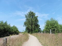 21 Juli 2016