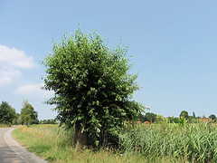 22 Juli 2016