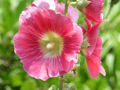 22 Juli 2016