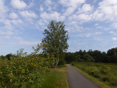 26 Juli 2016