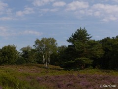 26 Juli 2016