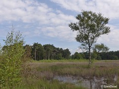 26 Juli 2016
