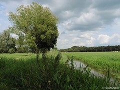 28 Juli 2016