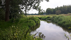 31 Juli 2016