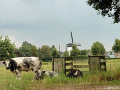 06 Augustus 2016