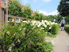 13 Augustus 2016