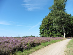 15 Augustus 2016