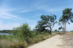 16 Augustus 2016