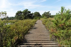 16 Augustus 2016