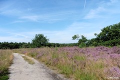 16 Augustus 2016