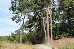 16 Augustus 2016