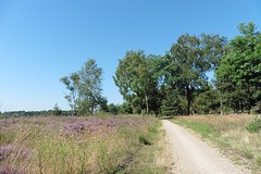 17 Augustus 2016