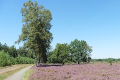 17 Augustus 2016