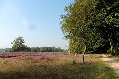 26 Augustus 2016