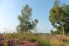 26 Augustus 2016
