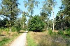 26 Augustus 2016