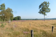26 Augustus 2016