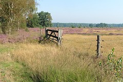26 Augustus 2016