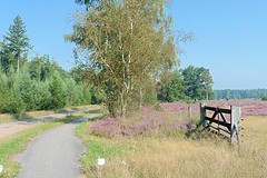 26 Augustus 2016
