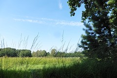 31 Augustus 2016