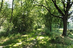 31 Augustus 2016