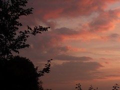 01 September 2016