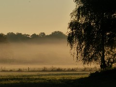 10 September 2016