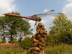 20 September 2016