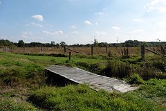 24 September 2016