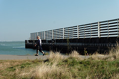 25 September 2016