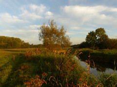 29 September 2016