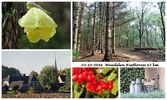 03 Oktober 2016