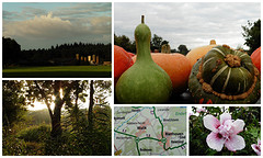 03 Oktober 2016